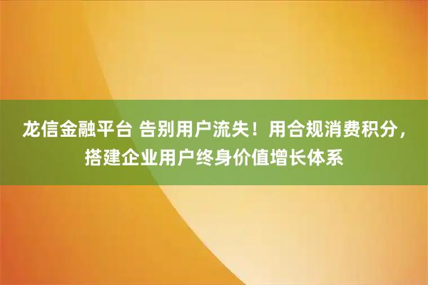 龙信金融平台 告别用户流失！用合规消费积分，搭建企业用户终身价值增长体系